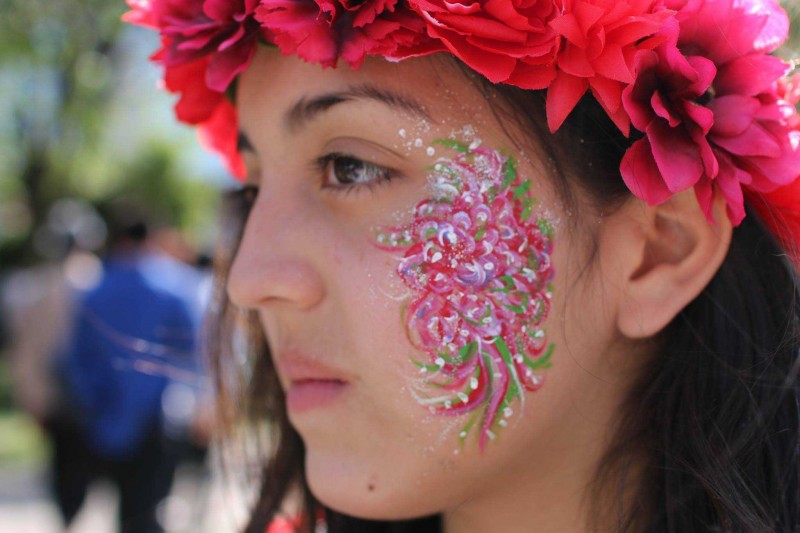 hfpu-fffp2016-0504-0336