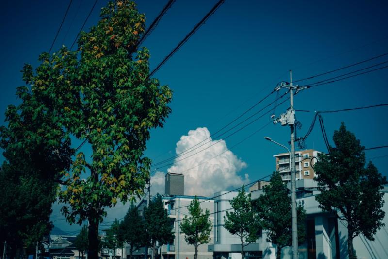 広島フェイスペイント組合-tomos fes 2025-01